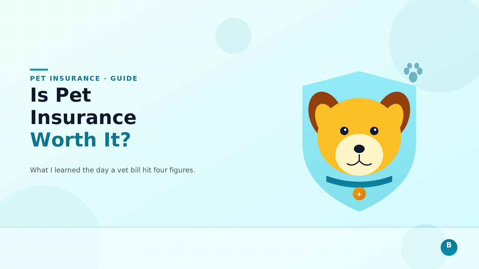 Is Pet Insurance Worth It? A Vet Bill Changed My Mind