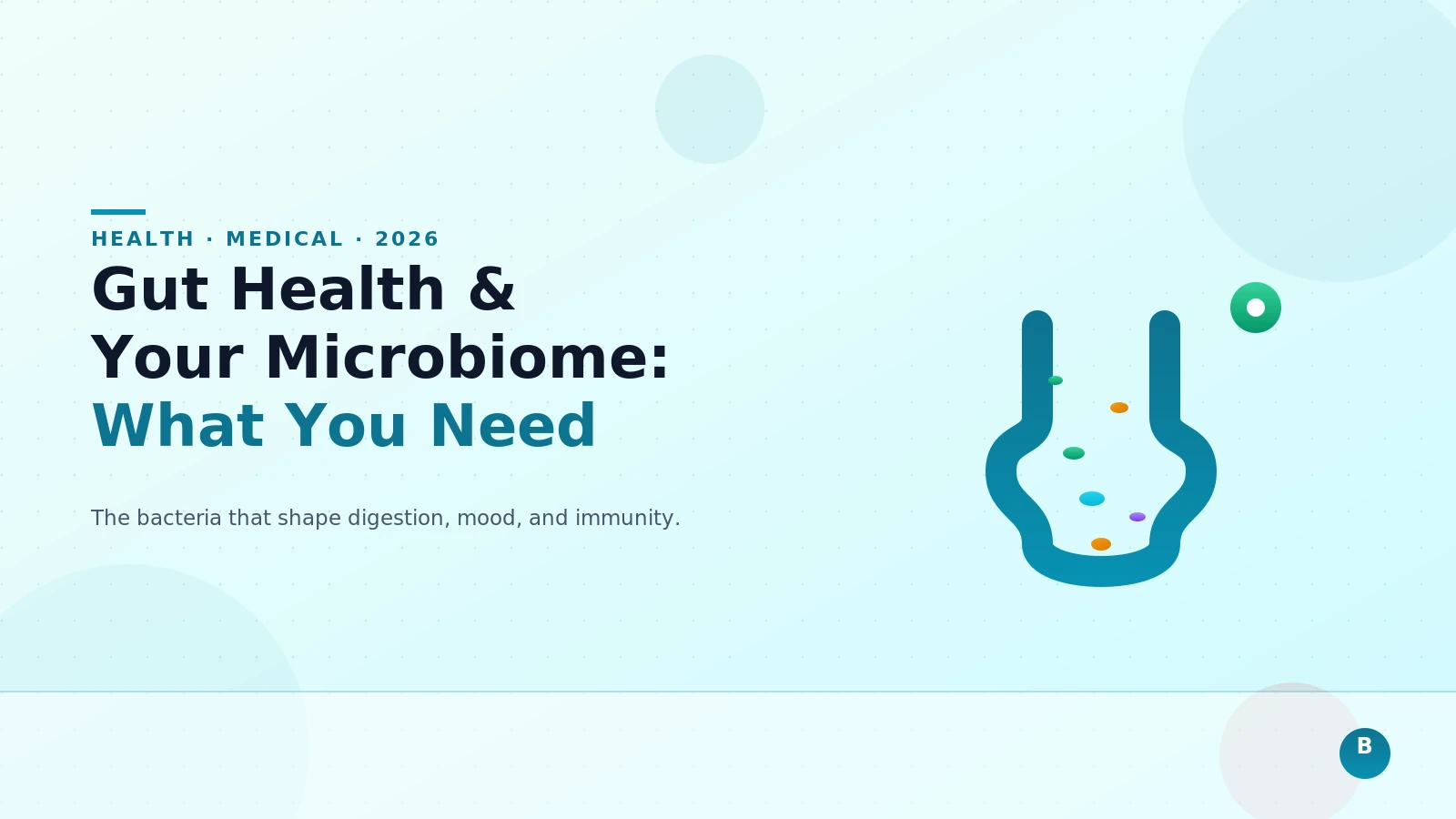 Gut Health and Your Microbiome: What You Need to Know